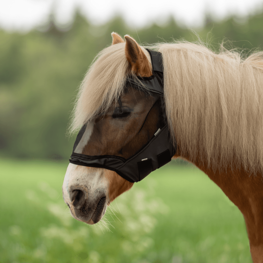 Masque anti-mouches BUSSE FLY GUARD FREE