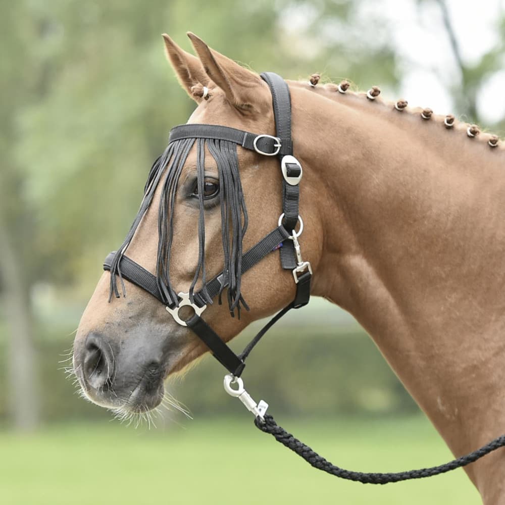 Bandeau anti-mouches Tampere de Busse - Noir, poney